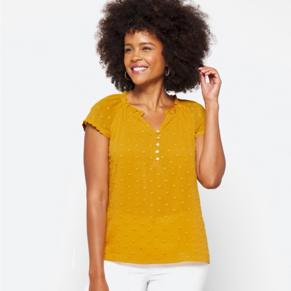Daniel Rainn short sleeve embroidered dot blouse